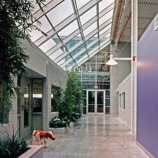 Gen1 Architectural Group:The Greenhouse - The "Street"